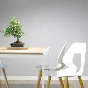 Study table
